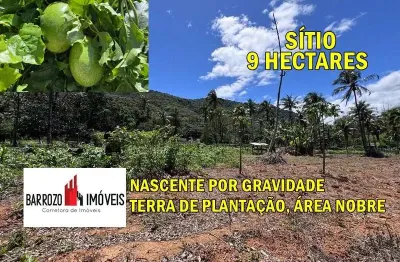 Chácara / sítio à venda no Papucaia, Cachoeiras de Macacu 