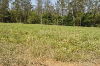 Terreno à venda na Rua 481, 04, Thermas de Santa Barbara, Águas de Santa Bárbara