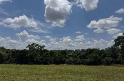 Terreno à venda na Rua 587, 60, Thermas de Santa Barbara, Águas de Santa Bárbara