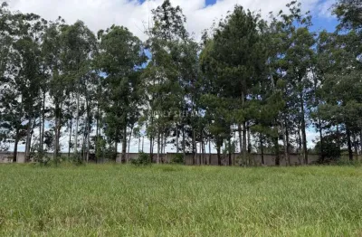 Terreno à venda na Rua 199, 41, Thermas de Santa Barbara, Águas de Santa Bárbara