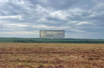 Fazenda à venda na Área Rural de São Carlos, São Carlos 