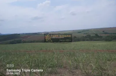 Chácara / sítio à venda na Zona Rural, Charqueada 