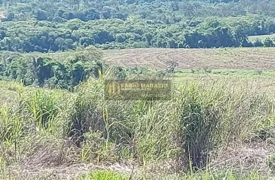 Chácara / sítio à venda na Zona Rural, Charqueada 