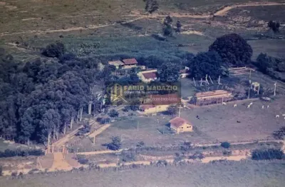 Chácara / sítio com 6 quartos à venda na Zona Rural, Charqueada 