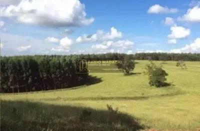 Fazenda à venda na Zona Rural, Bofete 