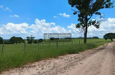 Fazenda à venda na Área Rural de Bauru, Bauru 
