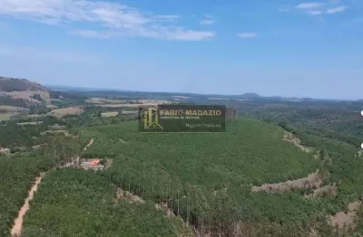 Fazenda à venda na Área Rural de Itapetininga, Itapetininga 