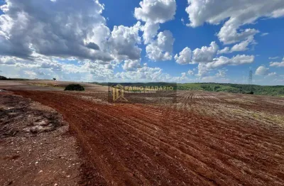Chácara / sítio à venda na Zona Rural, Buri 