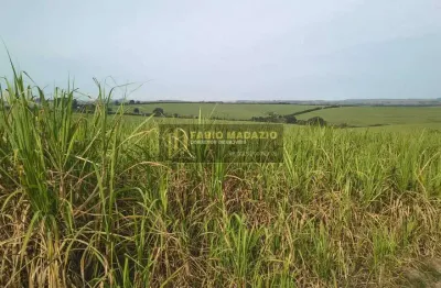 Fazenda à venda na Zona Rural, São Pedro 