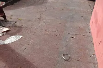 Casa com 2 quartos para alugar na Rua Professor Bernardino Victorio Previatello, Residencial Parque dos Servidores, Ribeirão Preto