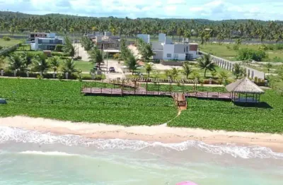Terreno em condomínio fechado à venda na Praia do Patacho, Porto de Pedras 