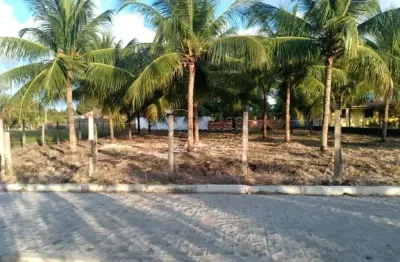 Lotes praia dos flamboyants - tatuamunha - rota dos milagres