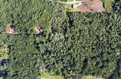 Terreno rural com 28.300m² em campina grande do sul