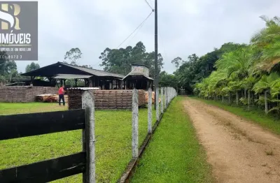 Chácara / sítio com 3 quartos à venda na ilhota, ilhotinha, ilhota por r$ 1.000.000
