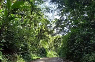 Terreno comercial à venda na Rua Guilherme Manke, SC, Belchior Alto, Gaspar