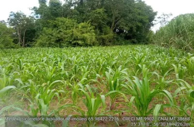 Sítio de 32 hectares no assentamento comunidade sadia 3