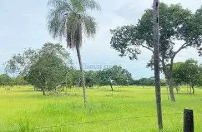 Chácara / sítio com 7 quartos à venda na Av Principal, 01, Zona Rural, Acorizal