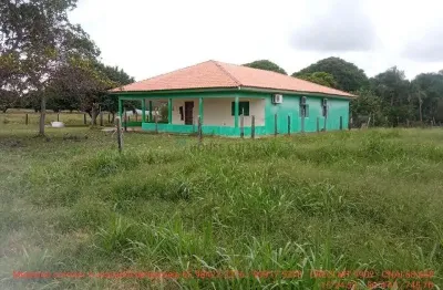 Fazendinha de 50 hectares próximo da cidade de cuiabá mt
