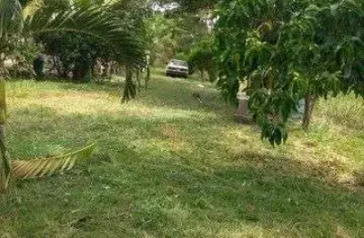 Chácara / sítio com 3 quartos à venda na área rural, 5775, área rural de várzea grande, várzea grande, 600 m2 por r$ 250.000