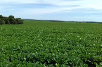 Fazenda a venda no município de ribeirão cascalheira mt