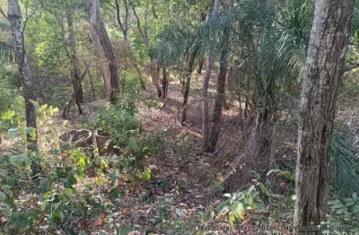 03 lotes juntos no loteamento batec no coxipó do ouro a 22 km da fundação brades