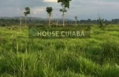 Fazenda à venda na Zona Rural, 000, Zona Rural, Novo Progresso