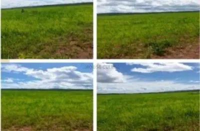 Fazenda à venda na Av Principal, 02, Zona Rural, Nobres