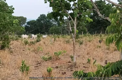 Chácara / sítio com 3 quartos à venda na Agua Santa, 22, Zona Rural, Alto Paraguai