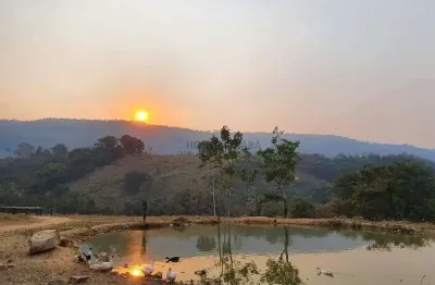 Chácara / sítio com 4 quartos à venda na Zona Rural, 123, Centro, Rio Branco