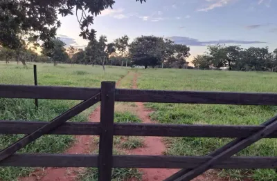 Chácara / sítio com 3 quartos à venda na Zona Rural, 123, Zona Rural, Amorinópolis