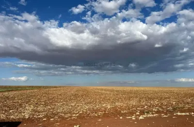 Oportunidade de investimento fazenda campo novo do parecis- mt