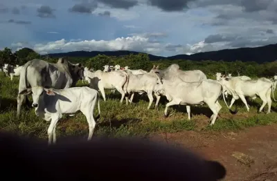 Fazenda à venda na rosario, 00, zona rural, rosário oeste, 2 m2 por r$ 45.000.000