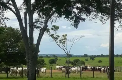 Fazenda à venda na fazenda, 00, zona rural, nova mutum, 7727 m2 por r$ 550.000.000