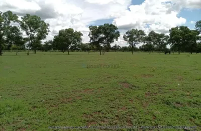 Fazenda dupla aptidão com 243 hectares na região da terra vermelha 4 km do distr