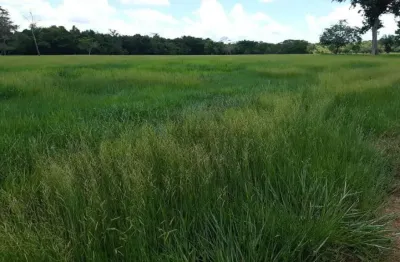 Sitio a venda regiao olho d,agua saida rondonopolis