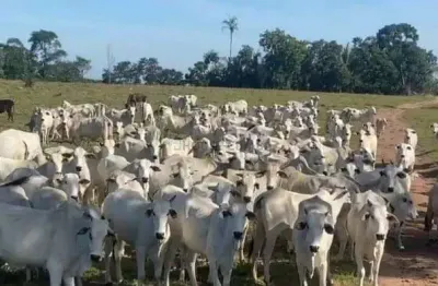 Fazenda a venda proximo de cuiaba saida p/ rondonopolis