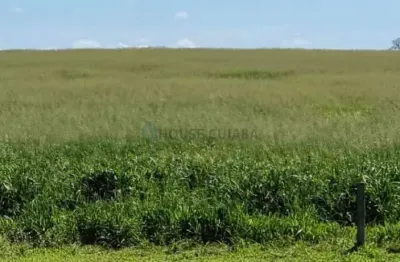 Fazenda a venda porteira fechada entre guiratinga e tesouro