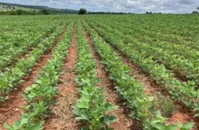 Fazenda à venda na Estrada Rural, 30, Zona Rural, Nobres