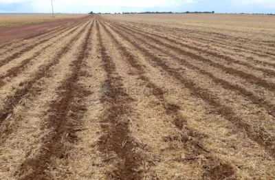 Fazenda à venda na Estrada Rural, 23, Zona Rural, Água Boa
