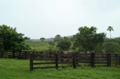 Fazenda à venda na zona rural, 1, zona rural, primavera do leste, 3280000 m2 por r$ 7.000.000