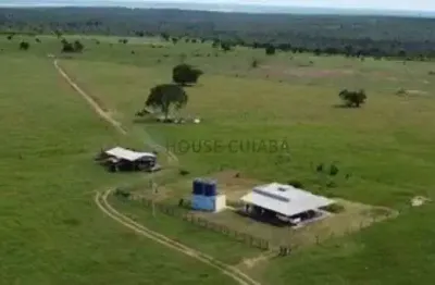 Negocio de oportunidade fazenda 400 hectares em rondonopolis - mt