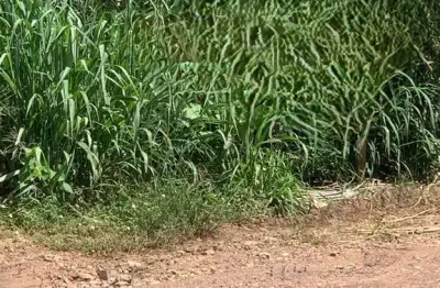 Terreno comercial à venda na avenida ulisses pompeu de campos, 12, centro norte, várzea grande por r$ 800.000