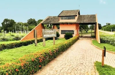 Casa em condomínio fechado com 2 quartos à venda na Avenida Primavera, 10 km, Zona Rural, Cuiabá