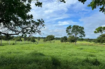 Sitio com 16 hectares, sendo 12 todo formado na regão do 120, escriturados  com