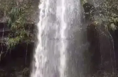 Fazenda à venda na ÁRea Rural, Zona Rural, Nobres