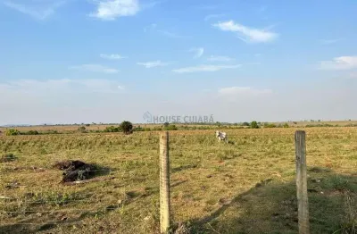 Fazenda a venda em vila rica-mt com 12.900 hectares
