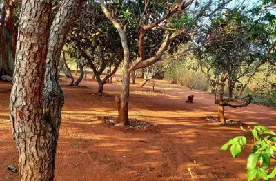 Sítio no distrito de água fria - chapada dos guimarães - mt