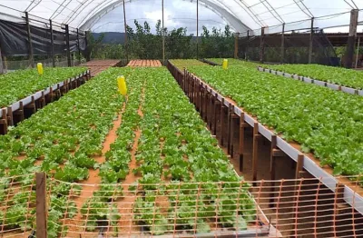Chácara / sítio com 3 quartos à venda na Estrada Rural, 25, Zona Rural, Campo Verde