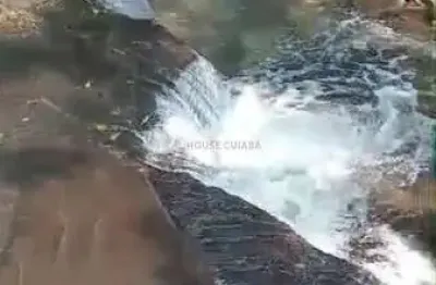 Sitio de 6,6 hectares todo escriturado e dia, situado na região do rio do sul.