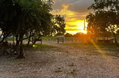 Chácara / sítio com 2 quartos à venda na Urbano, 05, Zona Rural, Nossa Senhora do Livramento